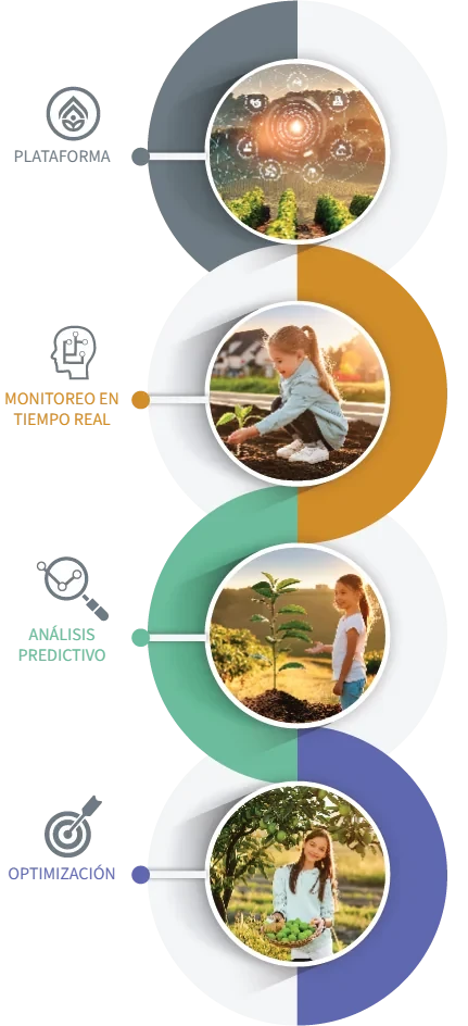 Visión general de la plataforma